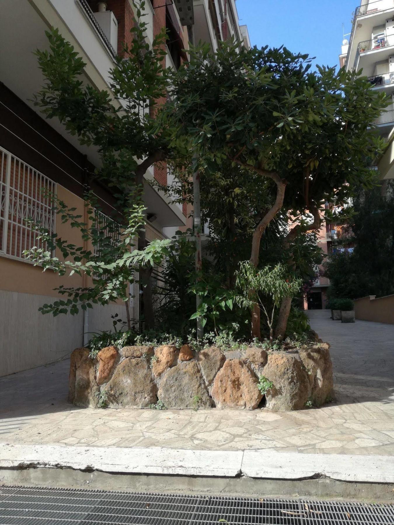 Bed and breakfast Testa Gioacchino